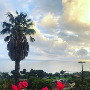 Meet your Posher, Jacqui